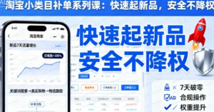 淘宝小类目补单系列课,快速起新品,安全不降权-杨北资源网