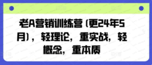 老A营销训练营(更25年8月),轻理论,重实战,轻概念,重本质-杨北资源网