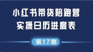 小红书第17期带货陪跑营,不囤货,无不直播,无不投流,通过选品+笔记内容+测品+笔记铺量+矩阵运营打爆款-杨北资源网
