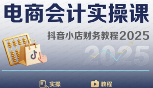 电商会计实操课-抖音小店财务教程2025-杨北资源网