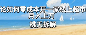 论如何零成本开一家线上超市,月入上W-杨北资源网