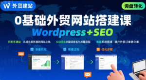 Wordpress外贸建站+SEO优化课程,手把手教你从0到1搭建可获得询盘的外贸网站-杨北资源网