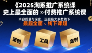 2025淘系推广系统课，史上最全面的付费推广系统课，内容质量与深度，远超绝大多数线下课-杨北资源网