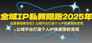 全域IP私教陪跑2025年,这套课程教你在公域平台打造个人IP快速涨粉变现-杨北资源网