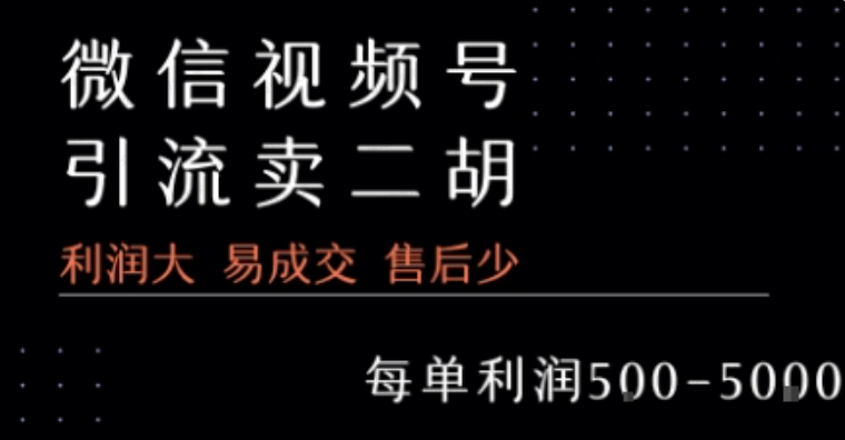 图片[1]-视频号卖二胡教程，利润大 易成交 售后少，一单利润5张+-杨北资源网
